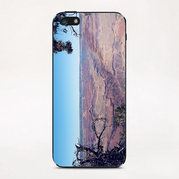 desert at Grand Canyon national park, USA in summer iPhone & iPod Skin by Timmy333