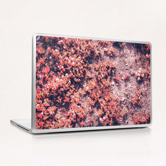 red small flower on the ground at the beach in summer Laptop & iPad Skin by Timmy333