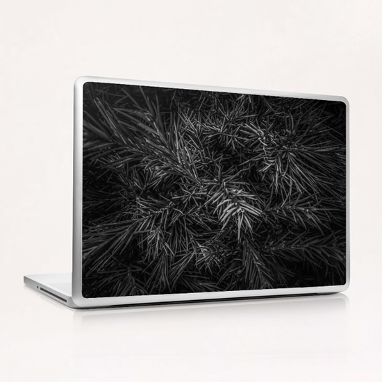 spiky plant texture abstract in black and white Laptop & iPad Skin by Timmy333