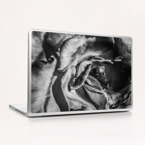 blooming rose in black and white Laptop & iPad Skin by Timmy333