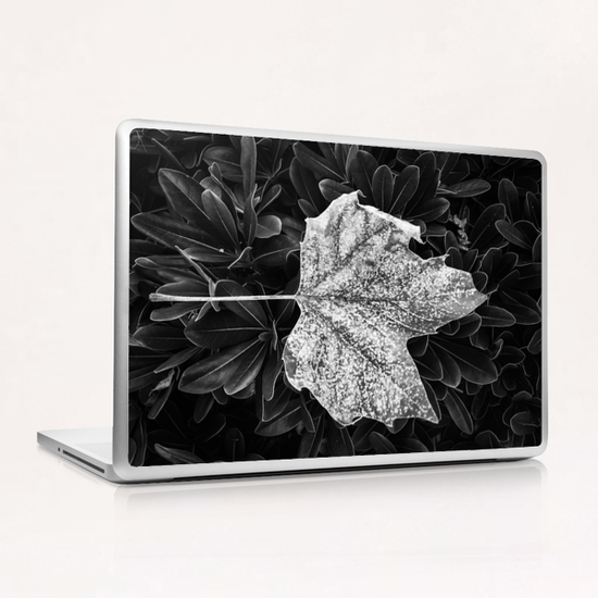 closeup leaves texture in black and white Laptop & iPad Skin by Timmy333