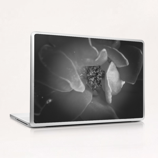 closeup rose texture in black and white Laptop & iPad Skin by Timmy333