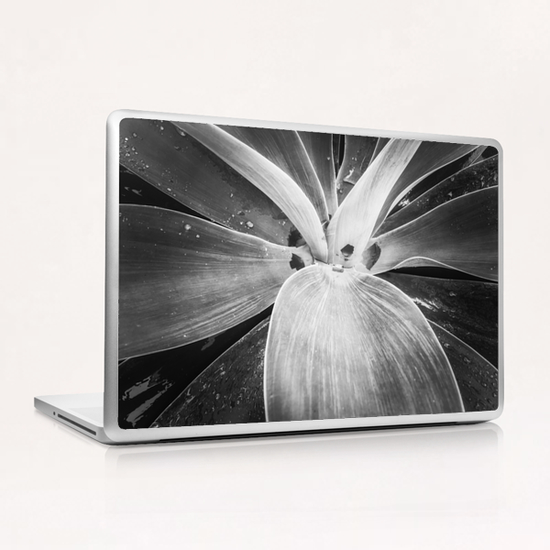 succulent leaves texture in black and white Laptop & iPad Skin by Timmy333