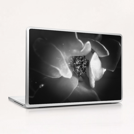 blooming rose with pollen in black and white Laptop & iPad Skin by Timmy333