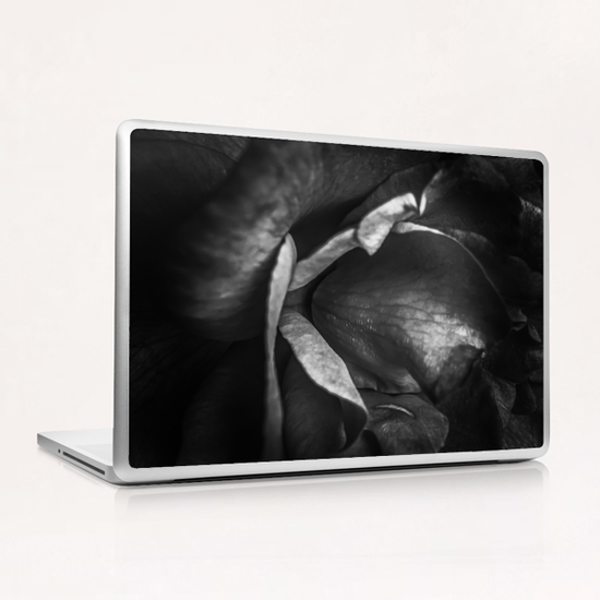 closeup rose background in black and white Laptop & iPad Skin by Timmy333