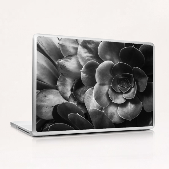 succulent plant texture in black and white Laptop & iPad Skin by Timmy333