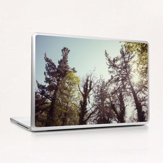 Trees Laptop & iPad Skin by Salvatore Russolillo