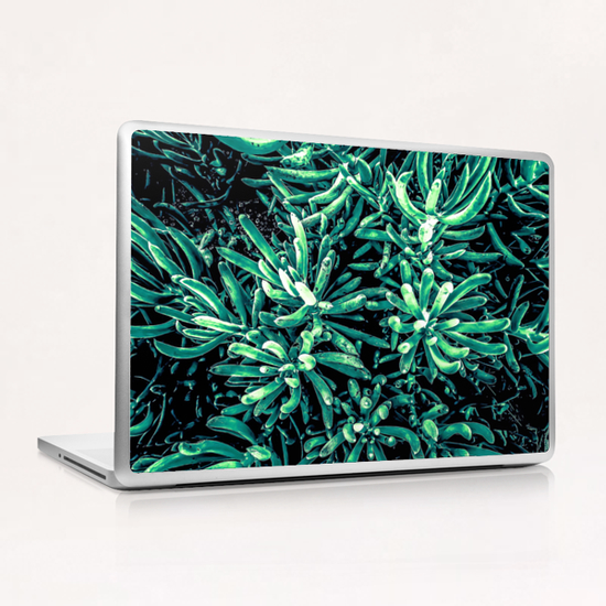 green succulent plant texture background Laptop & iPad Skin by Timmy333