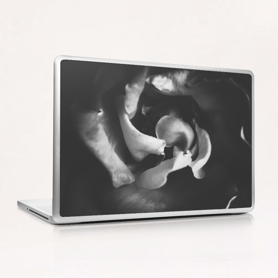 closeup rose in black and white Laptop & iPad Skin by Timmy333