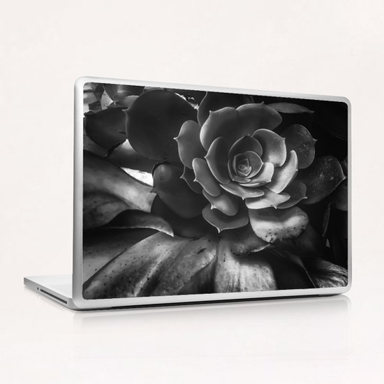 closeup succulent plant in black and white Laptop & iPad Skin by Timmy333