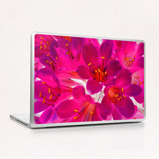 closeup pink flower texture abstract background with orange pollen Laptop & iPad Skin by Timmy333