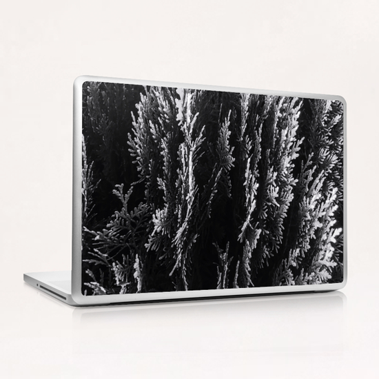 closeup leaf texture abstract background in black and white Laptop & iPad Skin by Timmy333
