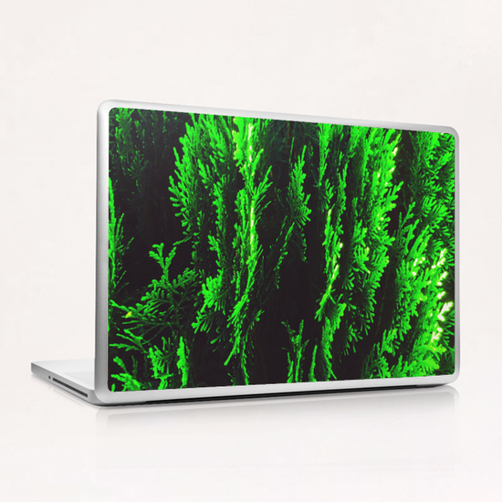 closeup green leaf texture abstract background Laptop & iPad Skin by Timmy333