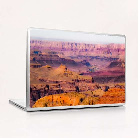 desert view at Grand Canyon national park, USA Laptop & iPad Skin by Timmy333