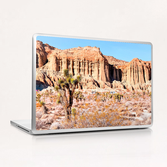 cactus in the desert with blue sky in summer at California,  USA Laptop & iPad Skin by Timmy333