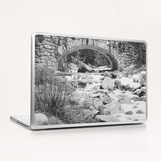 river covered with snow at Sequoia national park, USA in black and white Laptop & iPad Skin by Timmy333