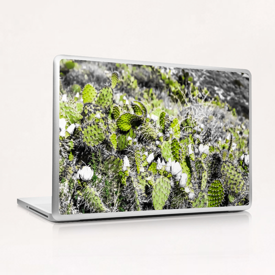 texture of the green cactus with white flower in the desert  Laptop & iPad Skin by Timmy333