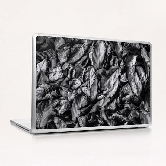 closeup leaf texture in black and white Laptop & iPad Skin by Timmy333