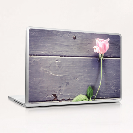 pink rose background Laptop & iPad Skin by Timmy333