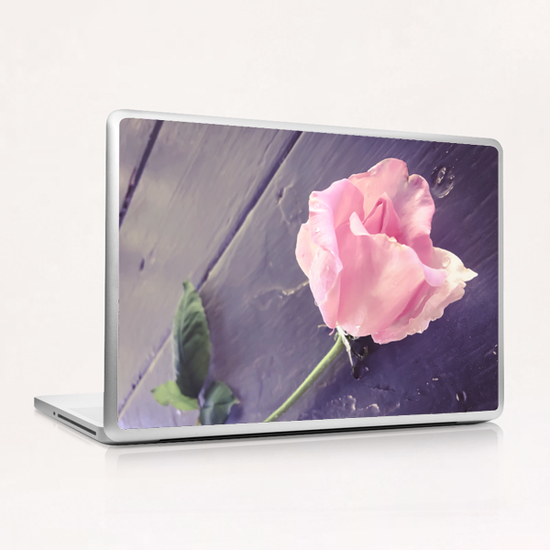 closeup pink rose Laptop & iPad Skin by Timmy333