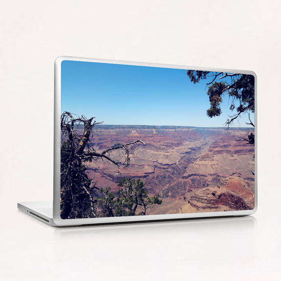 desert at Grand Canyon national park, USA in summer Laptop & iPad Skin by Timmy333