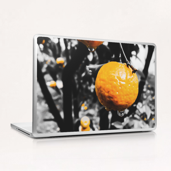 fresh orange fruit in the garden Laptop & iPad Skin by Timmy333