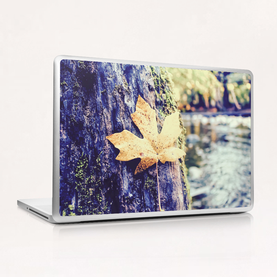 maple leaf on the tree with river and forest background Laptop & iPad Skin by Timmy333