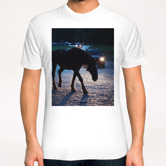 Light behind horses T-Shirt by Salvatore Russolillo